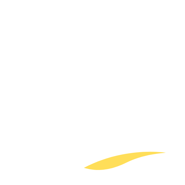 NETVela